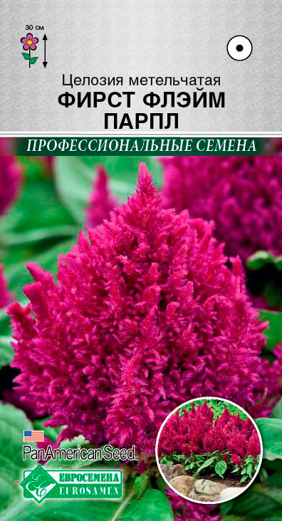 ����  ������ ���������� ������� ����������� ����� ����� �����, 10 ��. PanAm Seeds ���������������� ������, ������ �� 75 ���