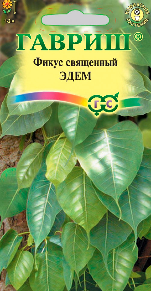 ����  ������ ������ ����� ��������� ����, 0,03 �, ������ �� 65 ���