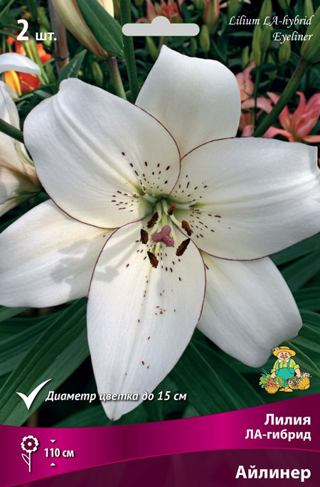 ����  ���������� �������� ����� ��������� ����� ��-������ �������, 2 ��., ������ �� 349 ���