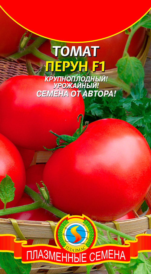 ����  ������ ������� ����� ����� F1, 10 ��. ������ �� ������, ������ �� 41 ���