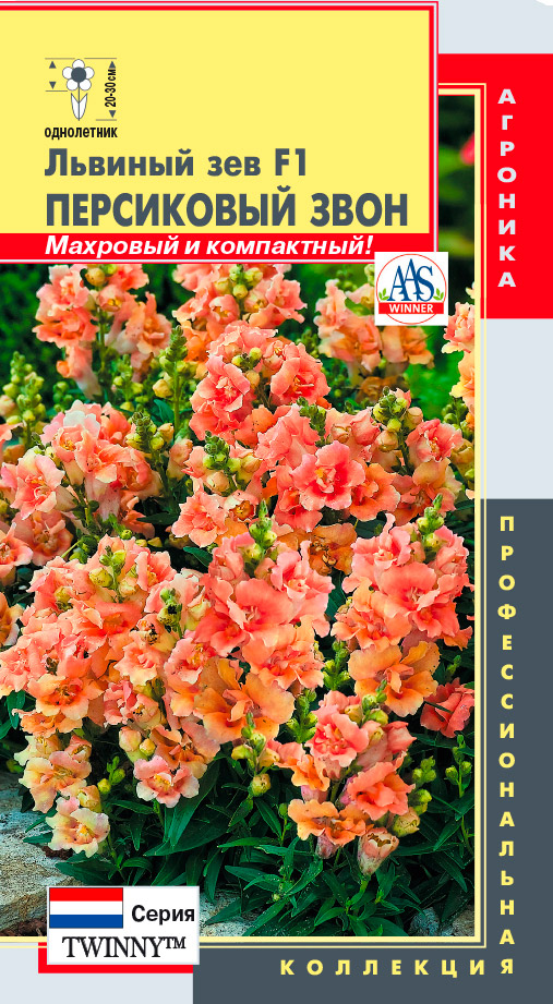 ����  ������ ������� ������� ��� ������ (Twinny�) ���������� ���� F1, 10 ��. ���������������� ���������, ������ �� 125 ���