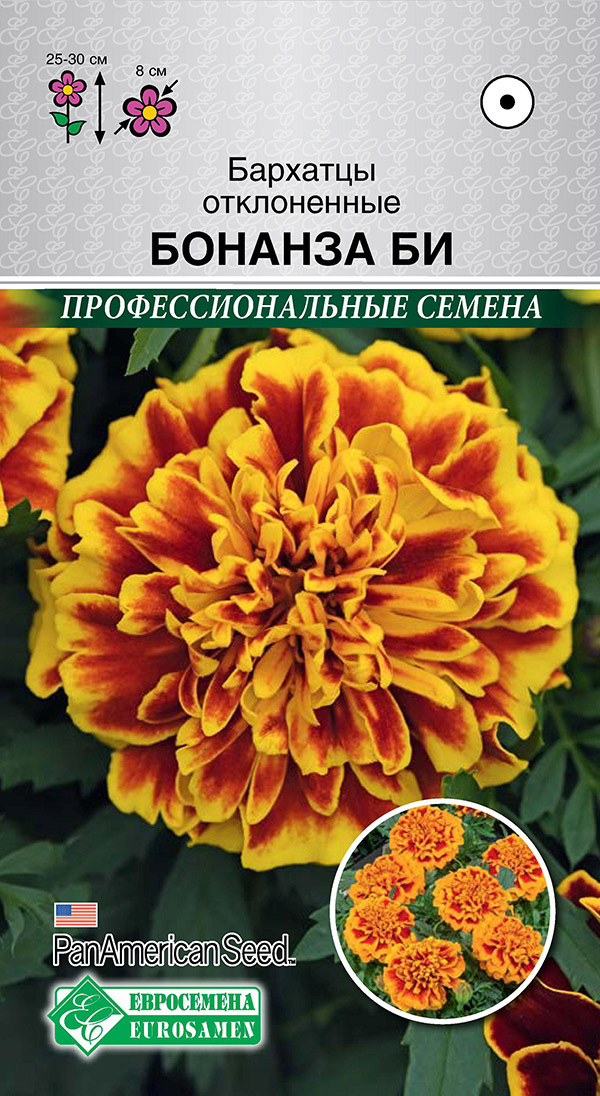 ����  ������ ���������� �������� ����������� ������� ��, 10 ��. PanAmerican Seeds ���������������� ������, ������ �� 65 ���