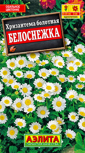 ����  ������ ������ ���������� ����������, 0,1 �, ������ �� 35 ���