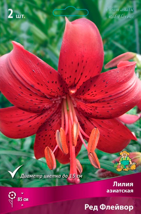 ����  ���������� �������� ����� ��������� ����� ��������� ��� �������, 2 ��., ������ �� 545 ���