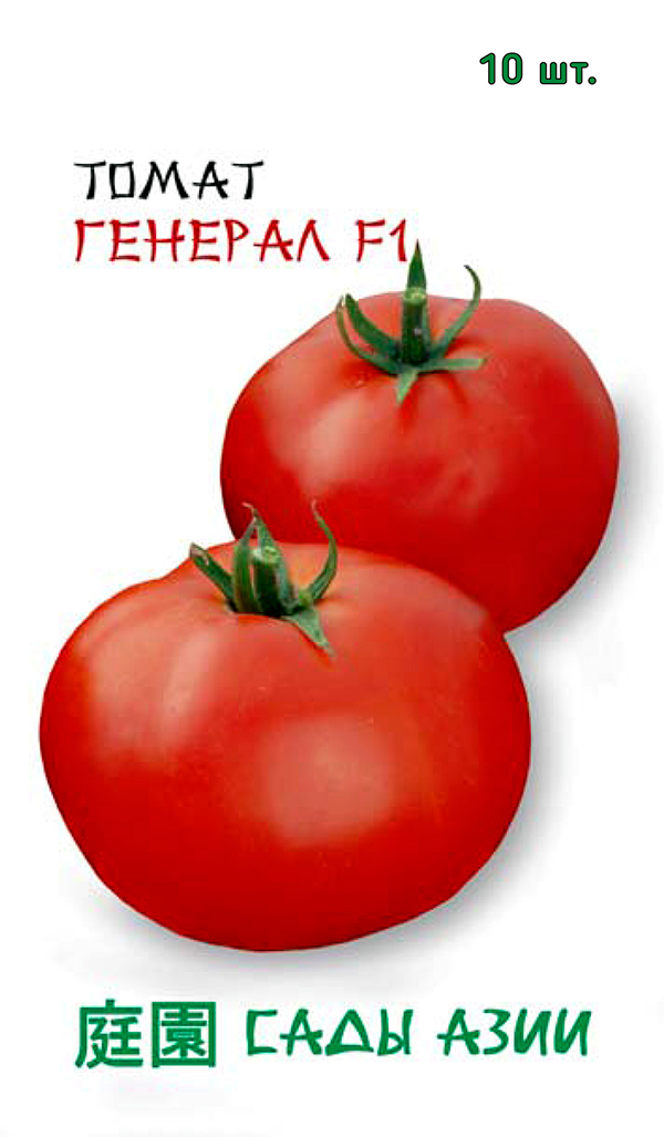 ����  ������ ���� ���� ����� ������� F1, 10 ��. Sakata, ������ �� 145 ���