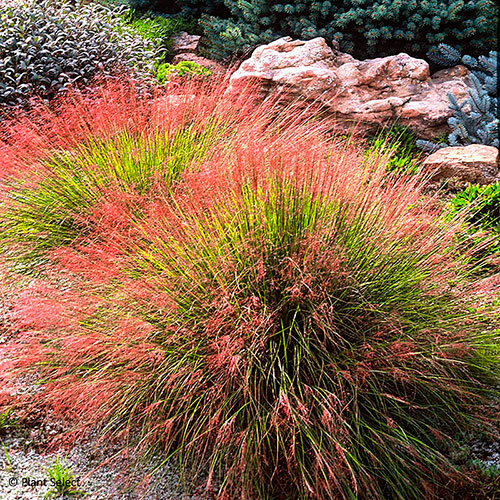 ����  ������ ���� ������ ����������� �����������, 10 ��., ������ �� 175 ���