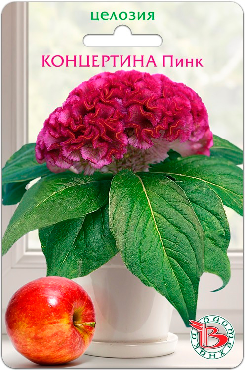 ����  ������ ���������� ������� ��������� ���������� ����, 8 ��., ������ �� 245 ���