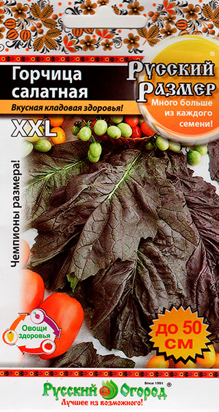 ����  ������ ������� ������ ������� �������� ������� ������, 100 ��. ������� ������, ������ �� 37 ���