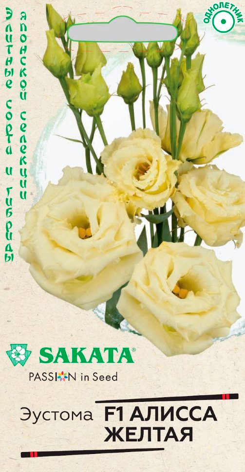         F1, 4 . Sakata     -     , -, 