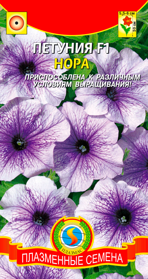 ����  ������ ������� ������� �������������� ���� F1, 10 ��., ������ �� 75 ���