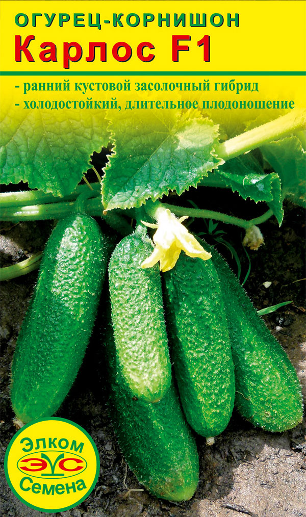 ����  ������ ����� ������ ������ ������ F1, 10 ��., ������ �� 89 ���