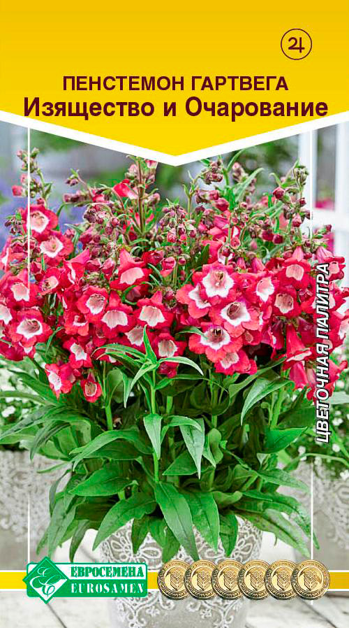 ����  ������ ���������� ��������� �������� ��������� � ����������, 0,1 �, ������ �� 65 ���