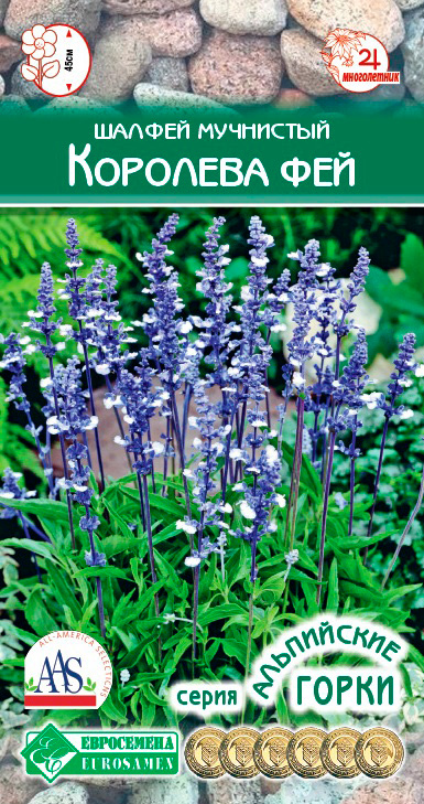 ����  ������ ���������� ������ ��������� �������� ���, 10 ��. ���������� �����, ������ �� 68 ���