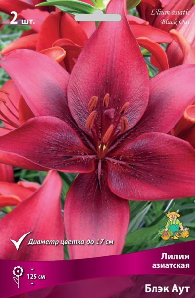 ����  ���������� �������� ����� ��������� ����� ��������� ���� ���, 2 ��., ������ �� 360 ���