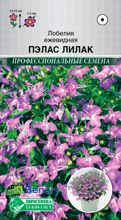 ����  ������ ���������� ������� ����� �����, 10 ����� Benary ���������������� ������, ������ �� 75 ���