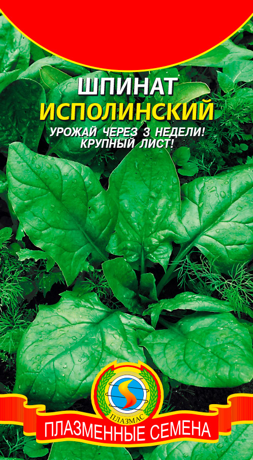 ����  ������ ������� ������ �����������, 2 �, ������ �� 35 ���