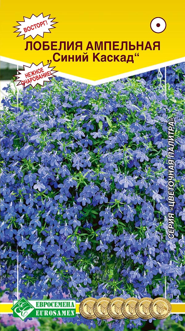 ����  ������ ���������� ������� ��������� ����� ������, 0,1 �, ������ �� 78 ���