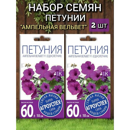 ���� ������ ������ ��������� ������� ������� F1, ��������� ( ����� 2 ��), ���������., ������ �� 318 ���