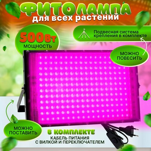 ���� ��������� ��� ������� 500 ��, ������ � �����������, �������� ������������, ������ ������, � ��������� � ����������, ������ �� 2900 ���