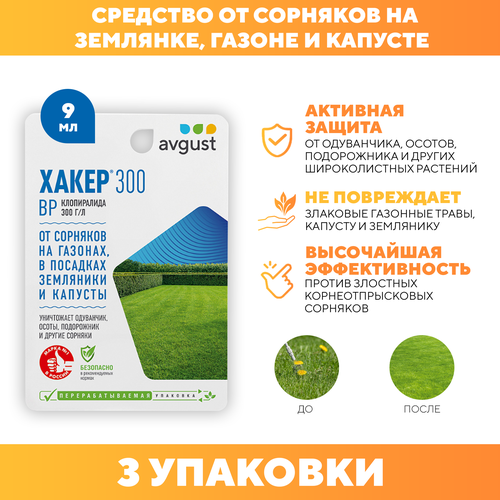 ���� �������� �������� �� �������� �����-300, Avgust 9 �� 3 ��, ������ �� 840 ���