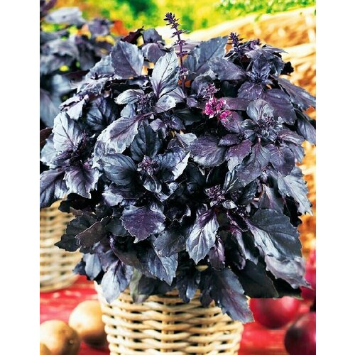   ,     ,  ,     , 130 ,   257 