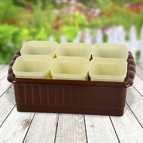 ���� �������� ��� ������� �� ������� ���� �� �������� ������� 250 ��, ����� 6 �����������, 24,7 � 16,6 �� h 9 ��, �������, ������ �� 239 ���