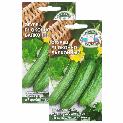 ���� ������ ������ ������-��������� F1 0,2 � (�����) , 2 �������� * 0,2 �, ������ �� 89 ���