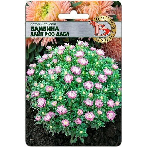 ���� ������ ����� ������� ���� ��� ���� 120 �� (�����) (����������. ������ �� ���������) , 3 ������� * 40 �� (�����), ������ �� 655 ���