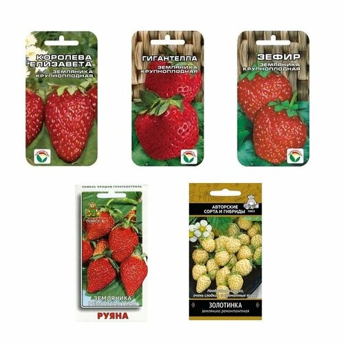 ���� ����� ����� �������� � ���������, 