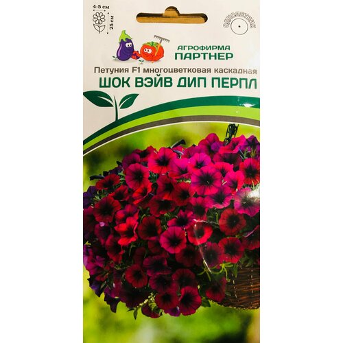 ���� ������ ������� �������������� ��������� 