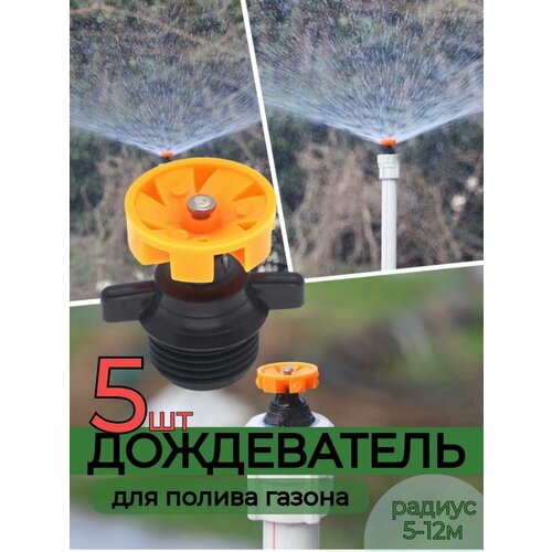 ���� ����������� �������� 5 ��, �����, ������ �� 595 ���