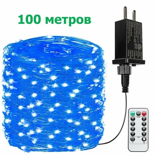 ���� ��������������� ���� ������������ ���� ������� 100 �. ��� ��������, ���� �����, ������ �� 2555 ���