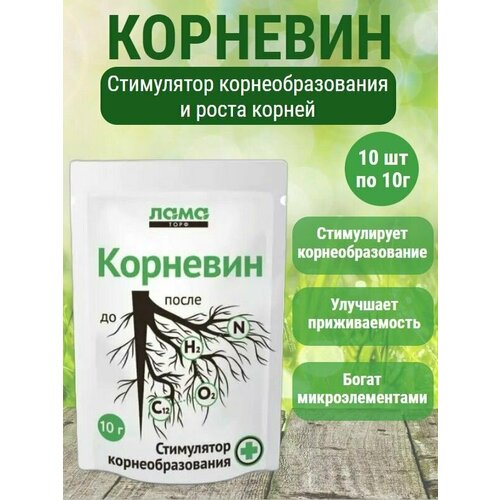    10   10.        ,   600 