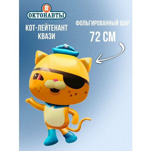 ���� ��������� �������������� ��� ������ ��������� ��������� �����, 72 ��, ������, ������ �� 274 ���