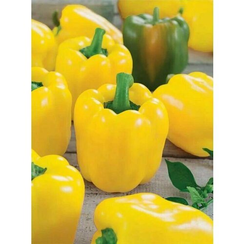 ���� ������������� ������ ����� �������� ������ F1, ������ �� 102 ���