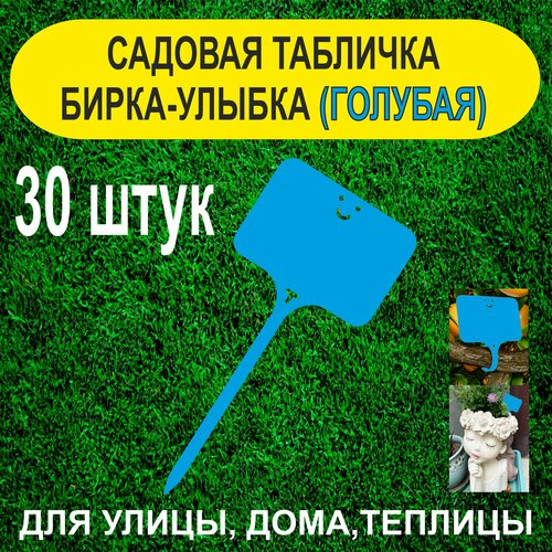 ���� ������� ����� - ������. �������� ��� ��������. 30 ���� (�������), ������ �� 250 ���