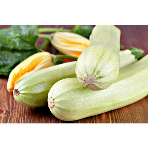 ���� ������� ������� F1, ����������� �������� � ���������� �������������, �������� � ��������� ����, 5 �����, ������ �� 253 ���