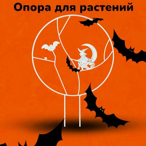 ���� ������� ��� ������ �������, ������ �� 546 ���