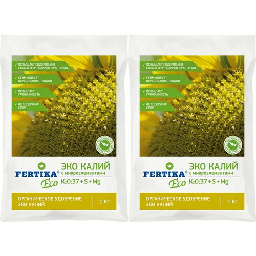 ���� ��������� ��� ����� 