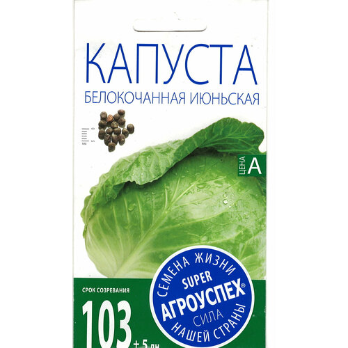 ���� ��������� ������� �������� ������ �/� 0.5�, ������ �� 420 ���