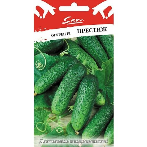 ���� ������ ������ F1 ������� 10 ��. ������� ������, ������ �� 234 ���