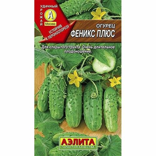 ���� ������ ������ ������ ���� ��, ������������, (������) 20��, ������ �� 42 ���