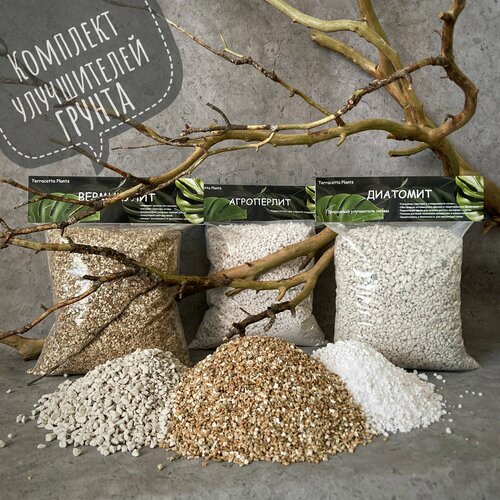 ���� ���������� �����, ������������ ������, �������� �� ���� �����������, ������ �� 839 ���