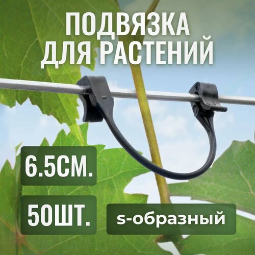 ���� ������ ��� �������� �������� s-��������, 6.5��, 50��, ������ �� 389 ���