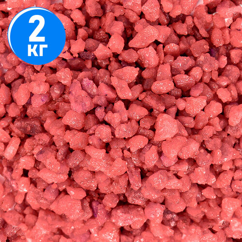 ���� ����������� ����� ��� ��������, ����������� � ��������, Zoo One, ��������� ��������, 