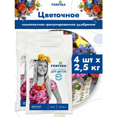 ���� ��������� ������� ��������� ����� �����������, 4 �� �� 2,5 ��, ������ �� 3263 ���