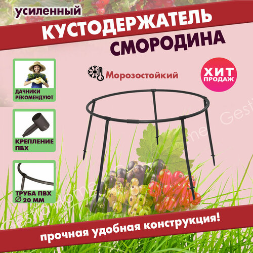 ���� �������������� ��������� ��������� ������� �����������, ����� ��� �������� Gestia Home, ������ �� 900 ���