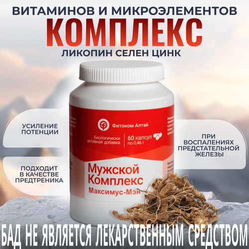 ���� ��������-���, ��������� � ��������, ���� ��� �������� ��������, 60 ����, ������� �����, ������ �� 378 ���