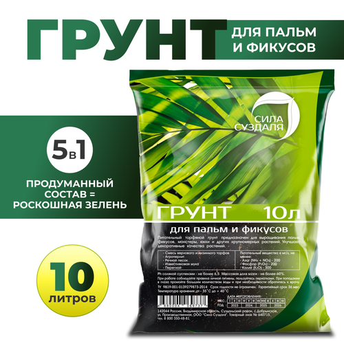 ���� ����� ��� ������� � ����� ���� �������/ ����� ��� ��������� ������, 10�, ������ �� 960 ���