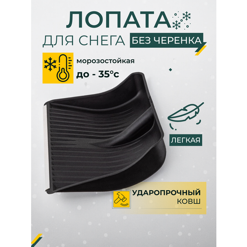 ���� ������ ��� ����� ��� �������, ������ �������������, � ������� ���������, ������, ������ �� 570 ���